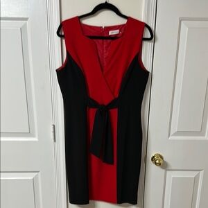 Calvin Klein Red and Black Women's Dress